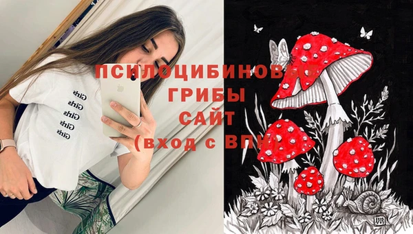 а пвп мука Армянск