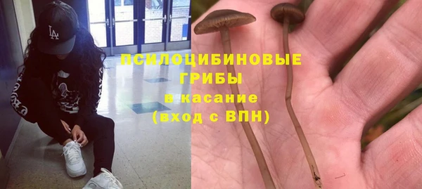 винт Аркадак