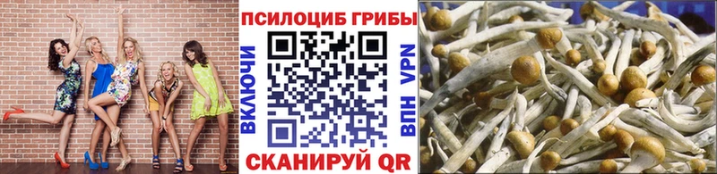 Псилоцибиновые грибы GOLDEN TEACHER  Бабаево 